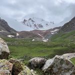 躺宝今天有被卷到吗