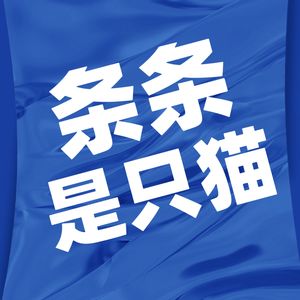 条条是只猫