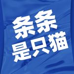 条条是只猫