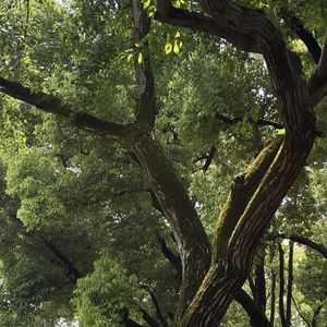 54. 原来我是不能闲下来的类型