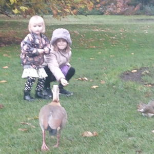 Vol. 1-播客介绍与节目展望