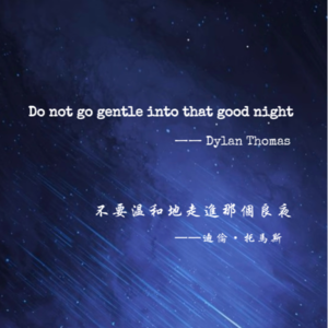 不要温和地走进那个良夜