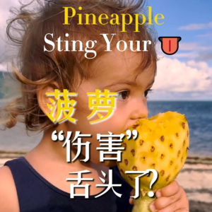 Why Does Pineapple Sting Your Tongue?