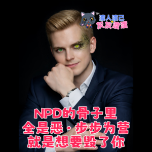 NPD的骨子里全是恶·步步为营就是要毁了你