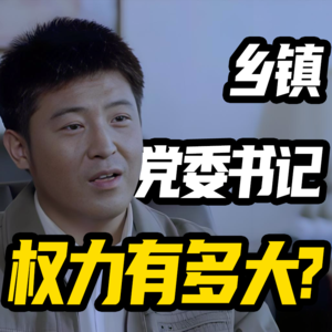 带你了解真实的基层,乡镇为什么没有两个一把手?