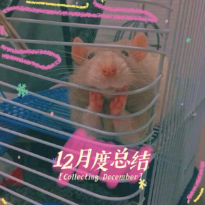 「Vol 40」12月：来晚一步！命运你休想折磨我（甩头发