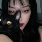 不想睡觉的猫