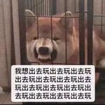 阿大萨姆