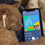 丨飞哥丨