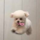瀾與書