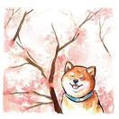 竹宝喜欢看花花