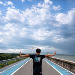 安联暴走鸡