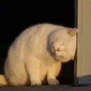 全幼儿园最可爱-