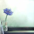 云里li