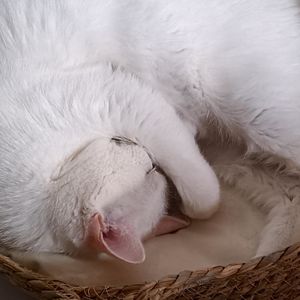 302-下班回家淋成落汤鸡