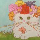 荔荔枝早睡早起版