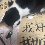用户912762