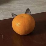 nnonn_