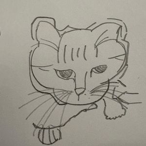 小昭睡觉了