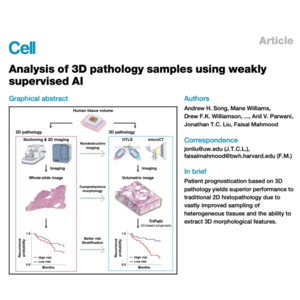 125-TriPath: The 3D Pathology Revolution