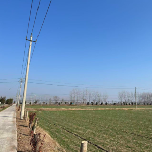 The Road Not Taken 未选择的路