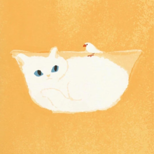 Vol.3 养猫手记：和独立小猫的亲密关系探索