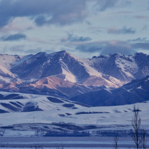 冬季阿勒泰与冬季伊犁，如何选择最适合？