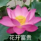 看书累了