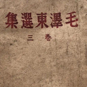 毛选｜第一卷·湖南农民运动考察报告（下）