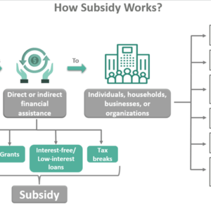 The hidden system behind simple subsidies
