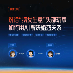「副本003」前Chic原醉合伙人苏雅：当AI陪伴遇上情感生意，情绪价值能被满足吗？