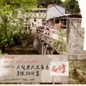 23.河中的摩托与浮尸丨六旬老太三角恋引发的惨案