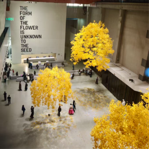 上海双年展|降噪网评,去听蜜蜂,去闻花香