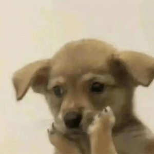 注意力不集中是可以治的（和大夫随便聊聊1 月刊）