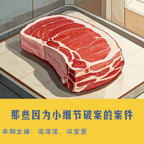 26. 案件系列：有哪些案件是因为小细节破案的？ episode artwork