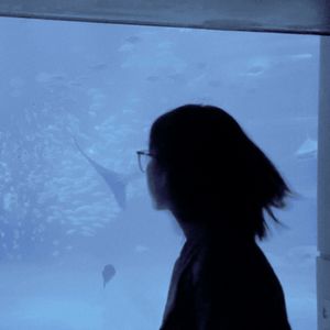 阿赛_