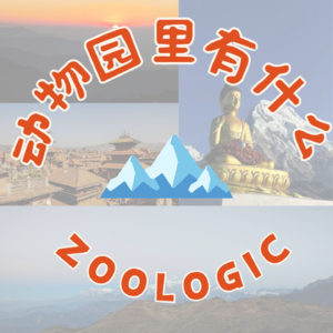 新手闭眼冲！尼泊尔徒步攻略，人均1万躺平看雪山！