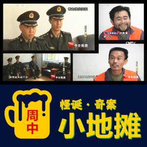 【山东】临沂市「军人劫狱」奇案？揭穿真相后笑到岔气：2013年苍山县冒充军人事件
