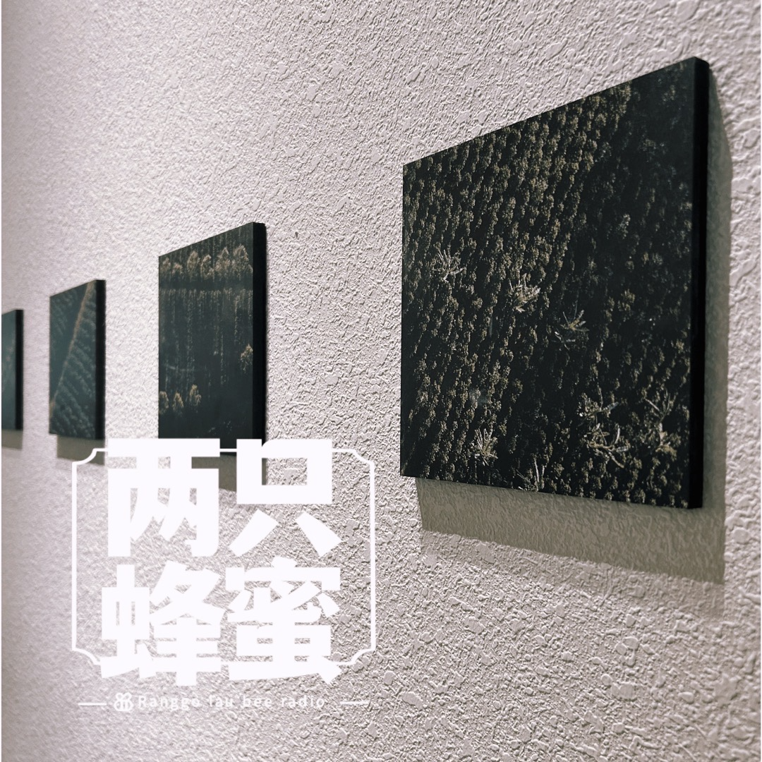 Vol.13 去他的断舍离，我的人生就要囤东西！ episode artwork