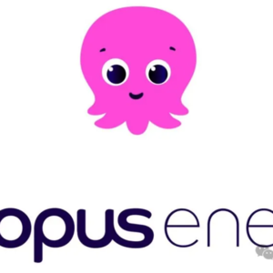 🚀 90亿美元估值！这家能源“八爪鱼”如何靠科技颠覆行业？