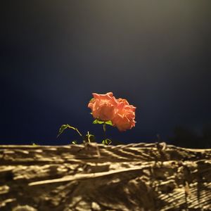 英国牛津夏夜的晚风，酒吧外热闹的氛围，连同我的声音一起，全都被录进这一支，我随身携带的mini麦克风里了。