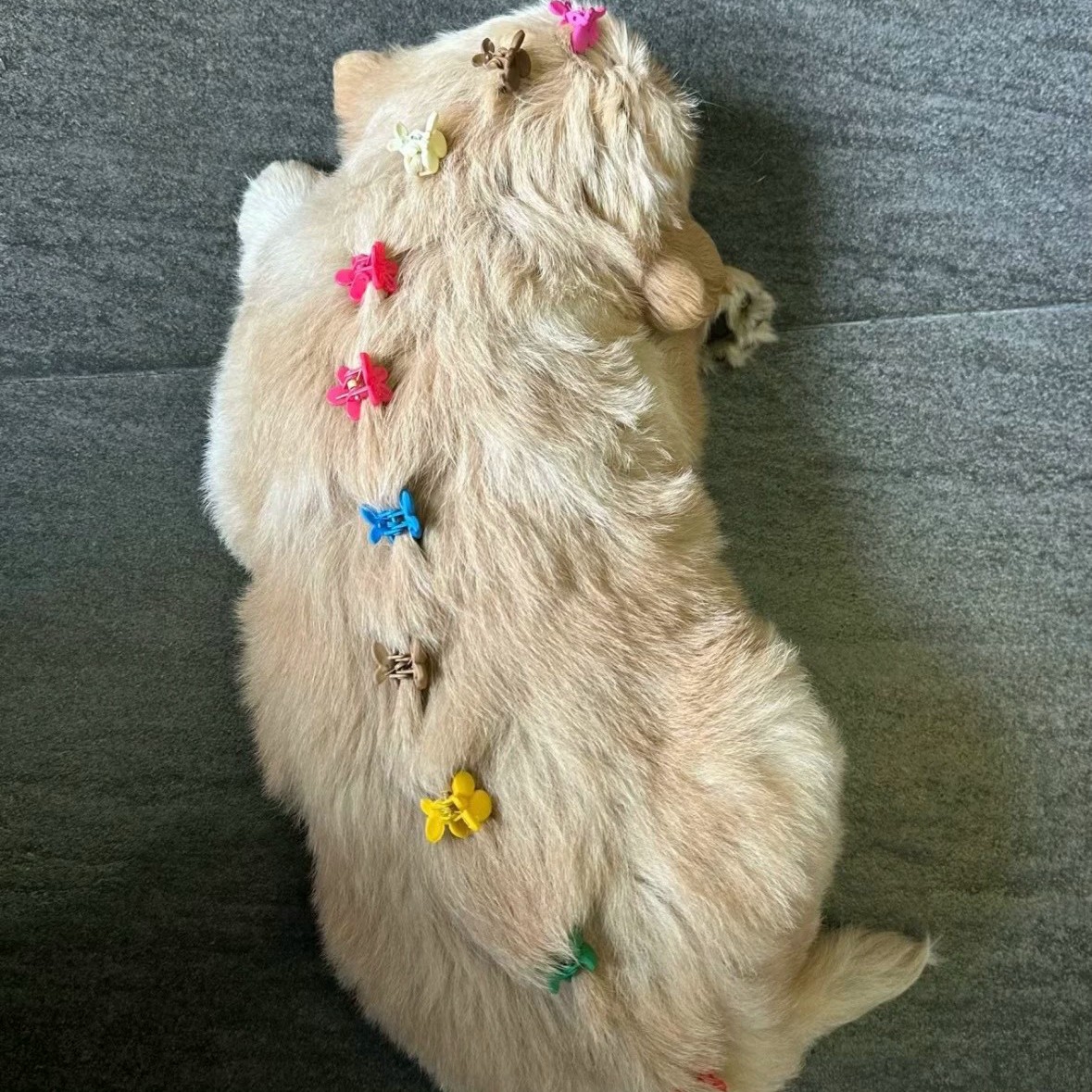 Vol.211 太阳照常升起：我们永远不会辜负春天- 文化有限| 小宇宙- 听播客，上小宇宙