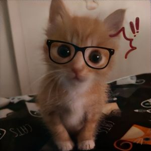 podcaster-avatar