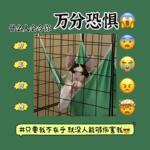 EP02: 人生路漫漫，X人千千万…怎么有那么多人活成了我们最害怕的样子…