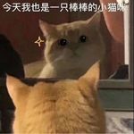 Koducko