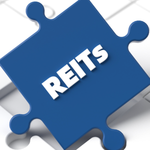 REITs小知识5丨投资人怎么投资REITs？