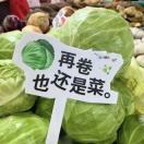 卷卷_huAe
