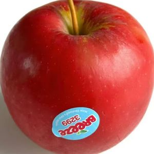 podcaster-avatar
