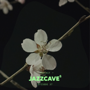 EP37. Spring Playlist - 不觉晓 春未眠