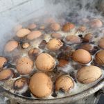 蜗牛5号